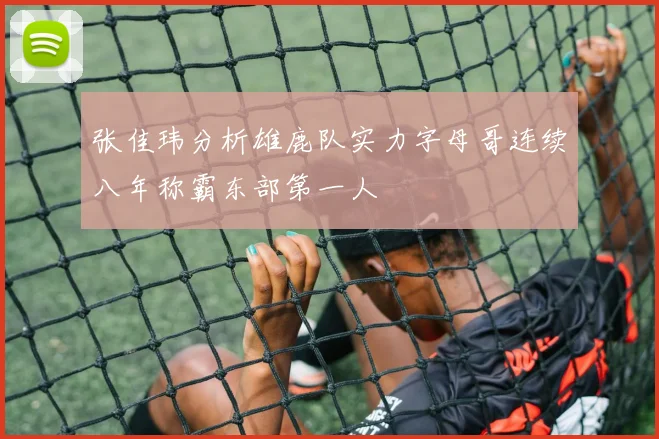 张佳玮分析雄鹿队实力字母哥连续八年称霸东部第一人