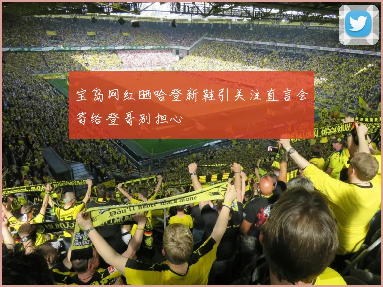 宝岛网红晒哈登新鞋引关注直言会寄给登哥别担心